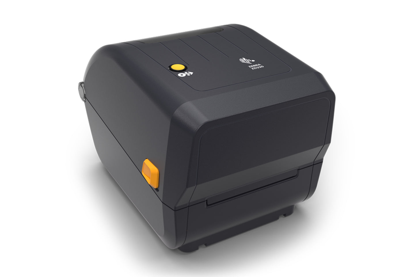 ZD100